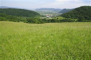 Celkový pohľad na lokalitu